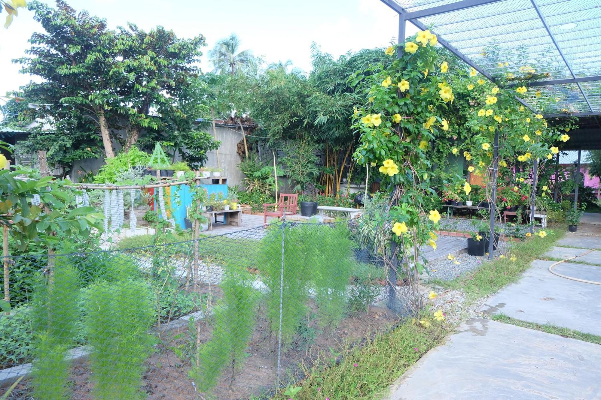 Lana Land Hostel